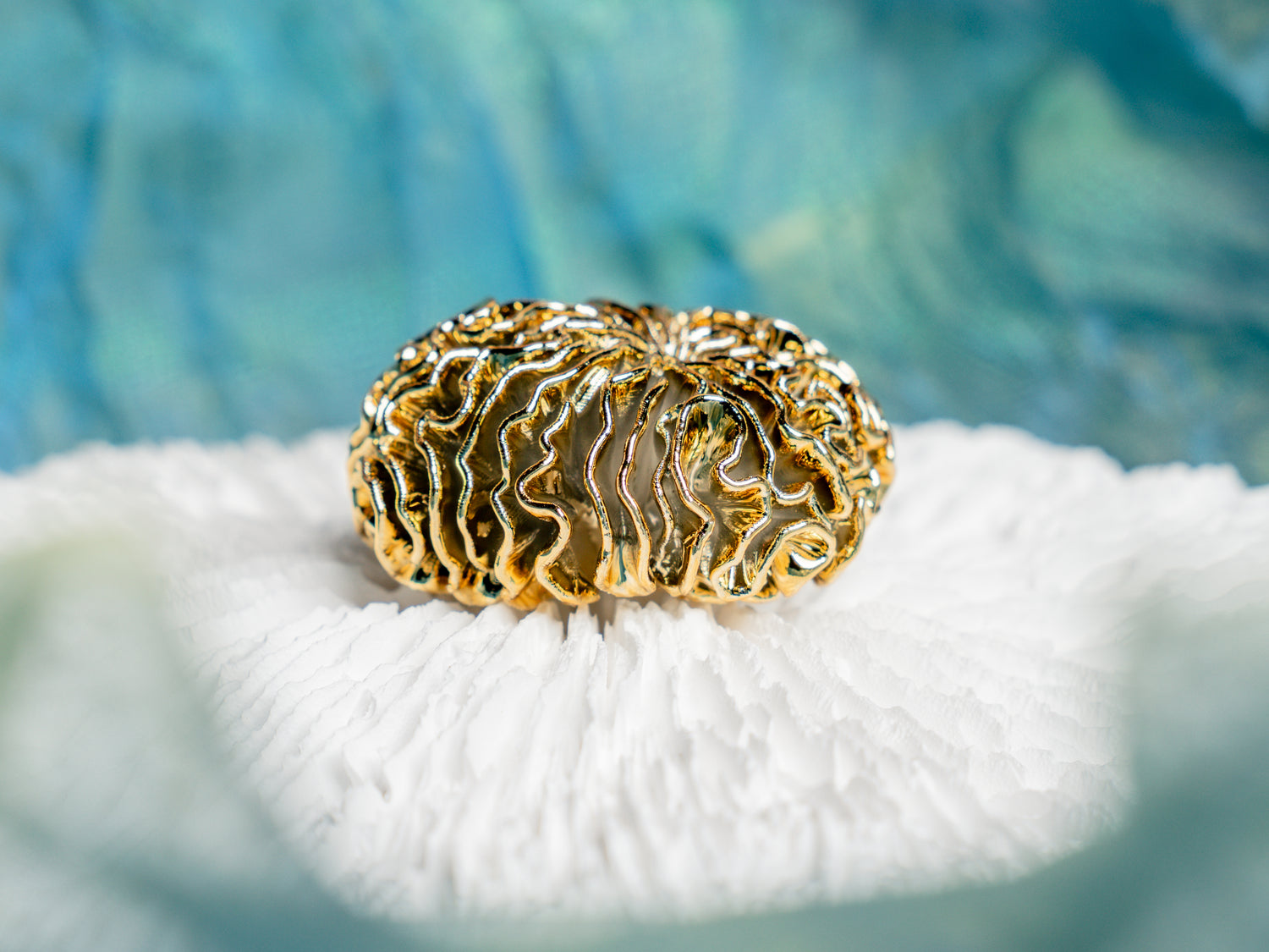 3D-Printed Luxurious Earrings Award-winning Designer Nature-inspired Design Unique Parametric Algorithm Design Gold Silver White Jewelry Gift for her Ravine Enigma by Topo Revive